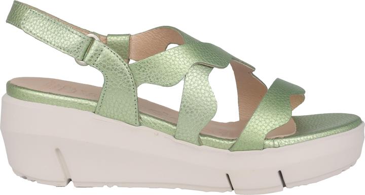 Actual product image Wonders Max (42)