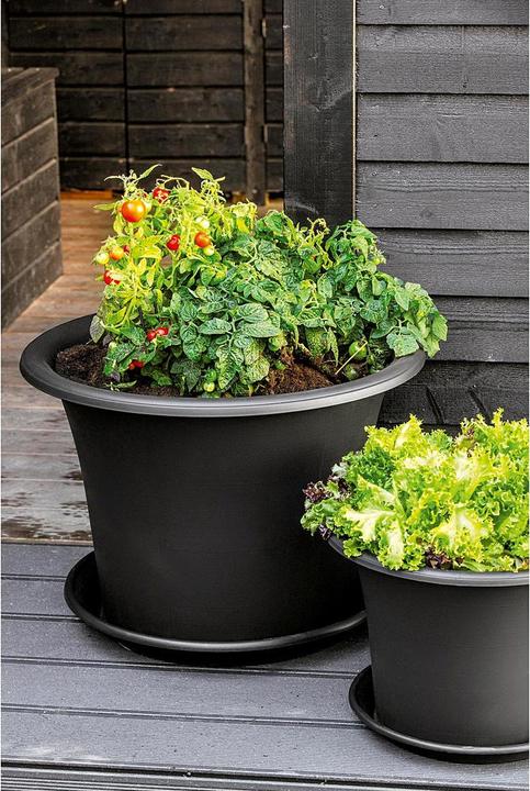 Immagine prodotto Orthex Sottobicchiere 'Botanica