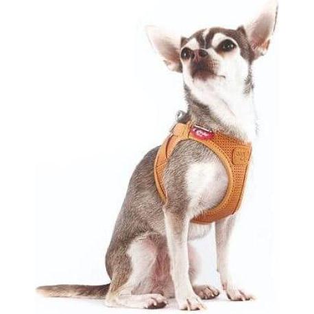 Curli Clasp harnais en cuir de pomme noir M