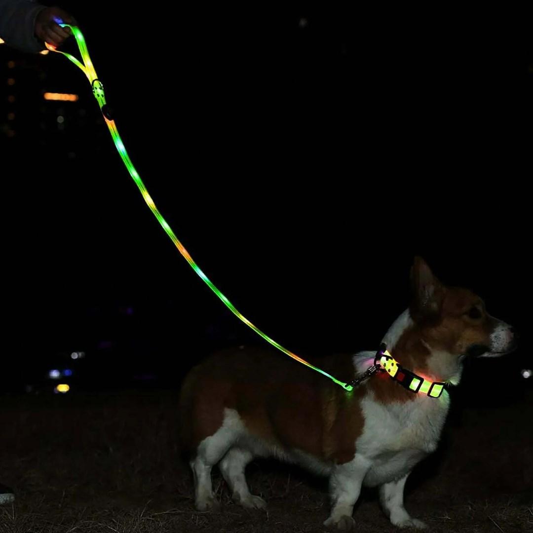 Thumbnail - Media-Tech Farbige LED-beleuchtete PVC-Leine für mittelgrosse und grosse Hunde, blau (M, L, Hund, Allgemein), Halsband +...