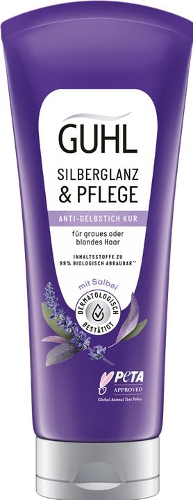 Produktbild Guhl Silberglanz & Pflege (200 ml)