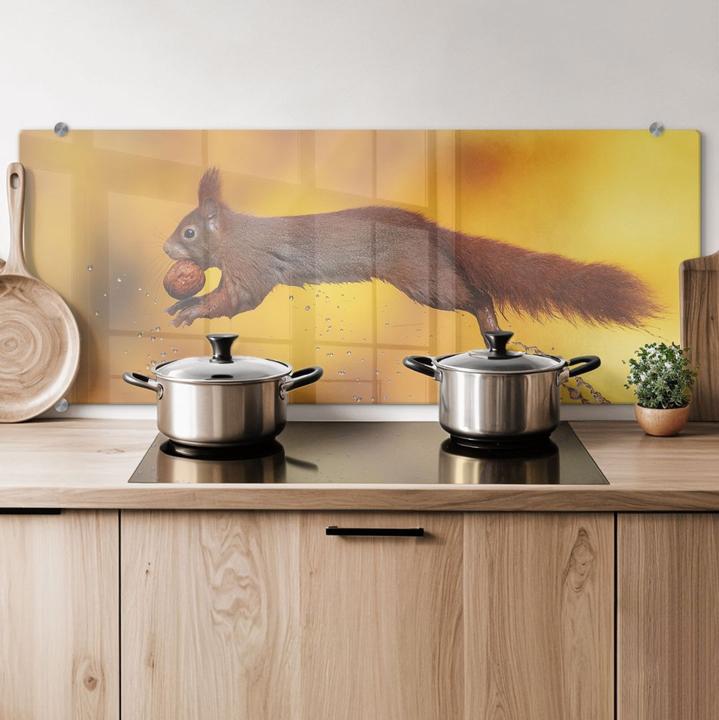 Image du produit Trenddeko van Duijn - Écureuil en sautant (80 x 30 cm)