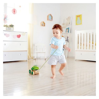 Actual product image Hape Frog