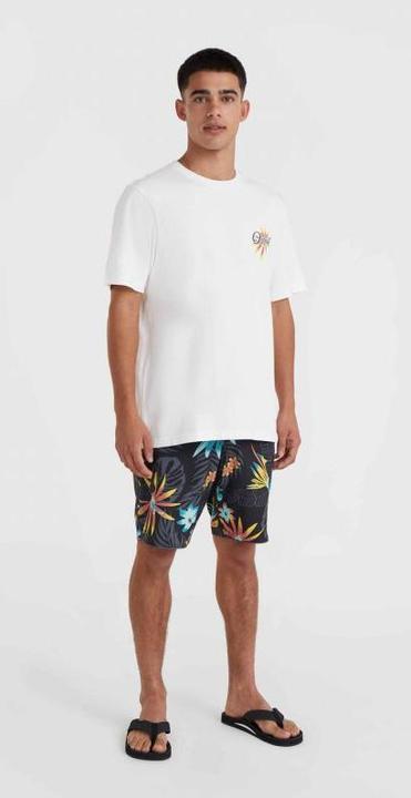 Produktbild O'Neill Beach Graphic T-Shirt (M)