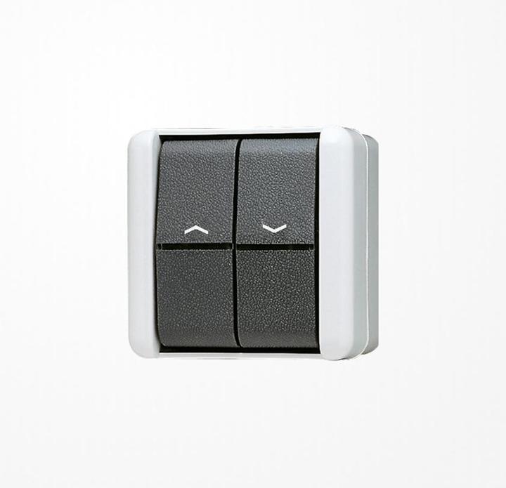 Image du produit JUNG Interrupteur à bascule pour stores