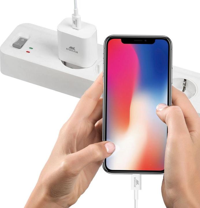 Actual product image Rivacase MOBILE CHARGER WALL/WHITE PS4101 W00 (20 W)