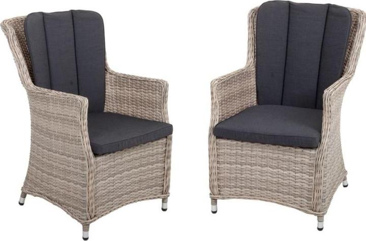 Garden Pleasure Loungestoel Dijon grijs