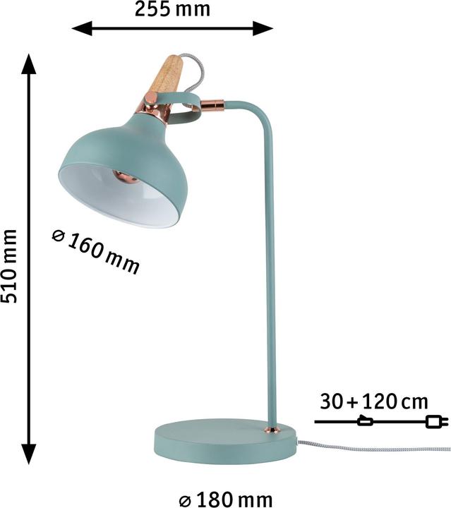 Image du produit Paulmann Juna (E14)