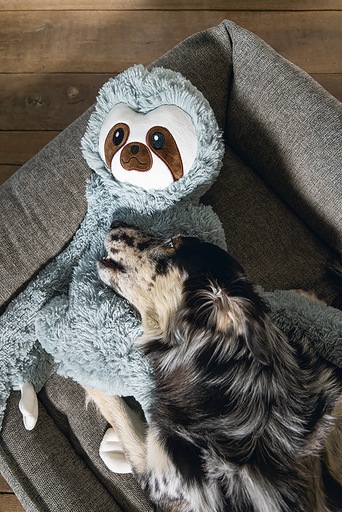 Immagine prodotto Beeztees Zia (Cane)