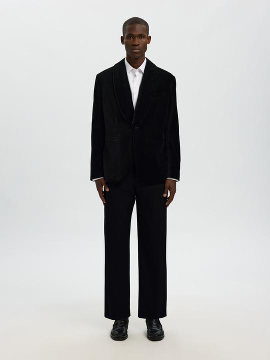 Immagine prodotto Selected Samt Blazer (52)