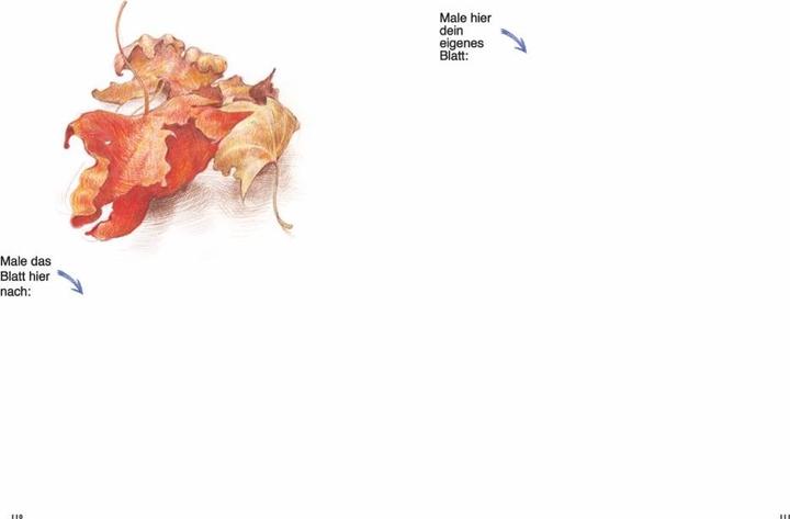 Produktbild Am Ende dieses Buches kannst du perfekt zeichnen - Buntstifte