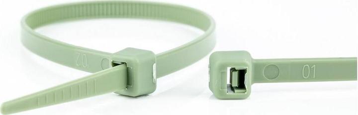 Actual product image WKK 5484 Cable tie 368 mm 7.60 mm Green Acid resistant 100 pcs. (Plastic cable ties, 368 mm, 100 pcs.)