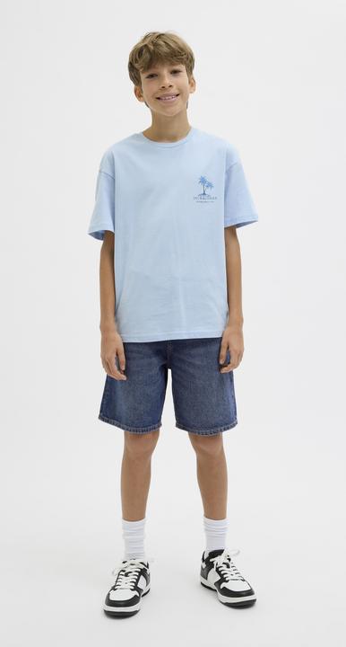 Produktbild Jack & Jones Loose Fit Loose Fit Shorts Junior Loose Fit Shorts (152)