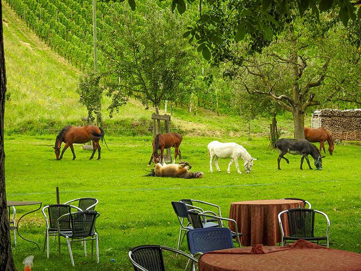 Produktbild Smartbox Schlafen auf Stroh in der Nähe des Bodensees für 2 Personen (2 Personen)