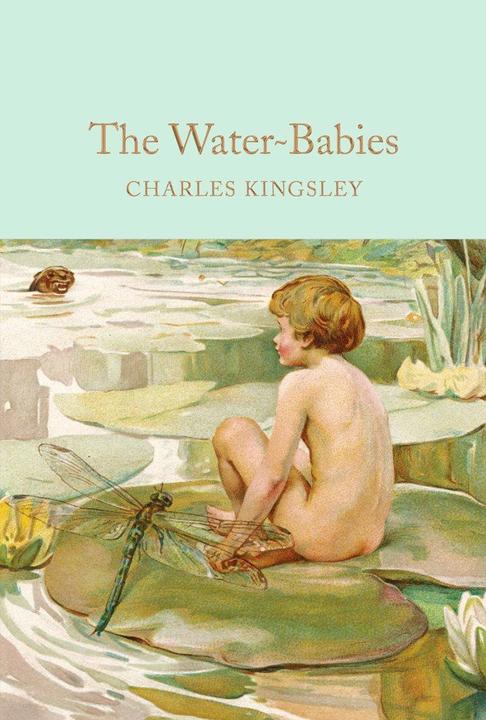 Produktbild The Water-Babies (Englisch, Charles Kingsley, 2016)