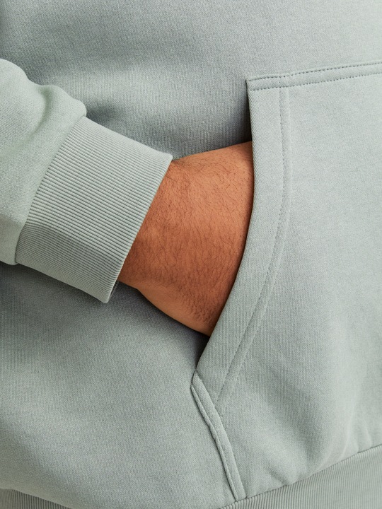 Produktbild Jack & Jones Jjebradley Sweat Hood Noos Pls (6XL)