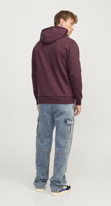 Immagine prodotto Jack & Jones Jjecaleb Varsity Sweat Hood Noos (S)