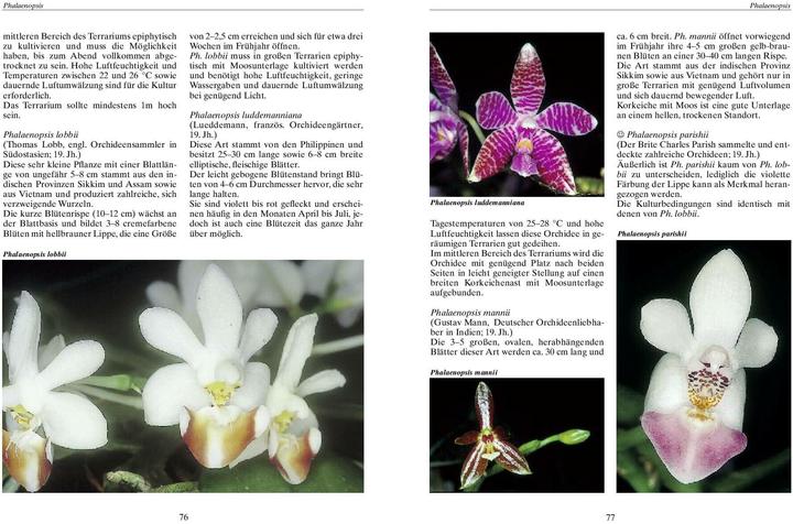 Produktbild Bromelien, Orchideen und Farne im Tropenterrarium (Deutsch, Wolfgang Schwarz)