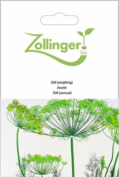 Produktbild Zollinger Bio Dill (einjährig) (Keimlinge)
