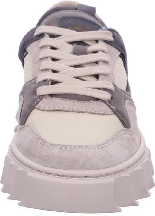 Image du produit Apple Of Eden AW24-LIMA 28 (40)