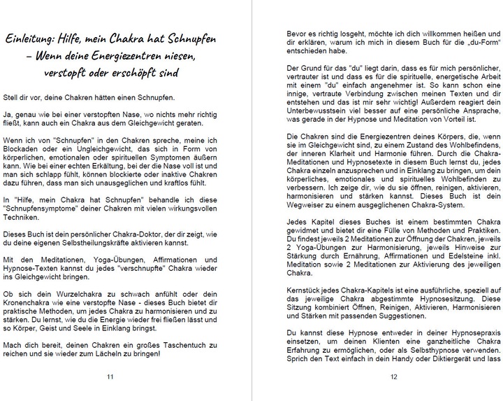 Immagine prodotto Hilfe mein Chakra hat Schnupfen (Tedesco, Schulze, Angelina, 2023)