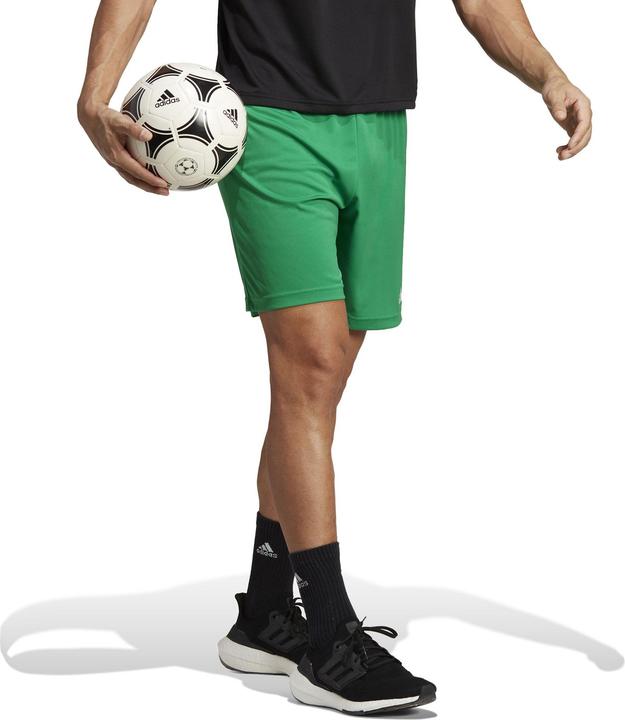 Actual product image adidas Entrada 22 Shorts (S)