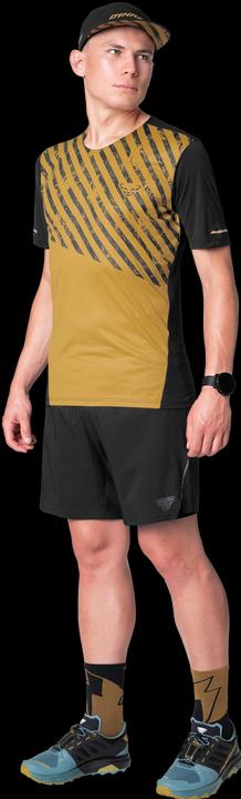 Actual product image Dynafit Alpine Pro 2in1 Shorts (M)