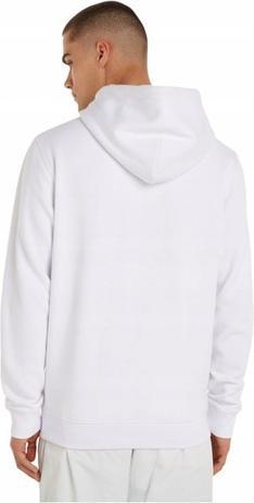 Produktbild Tommy Jeans Tjm Reg Linear Logo Hoodie Ext (XL)