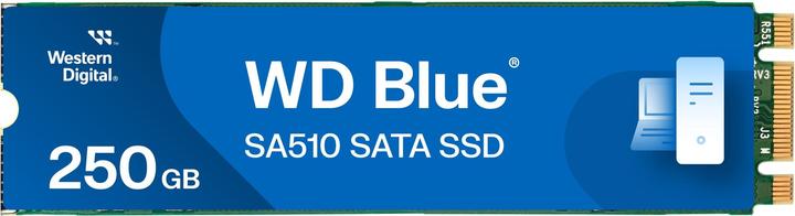 Actual product image WD Blue SA510 (250 GB, M.2 2280)