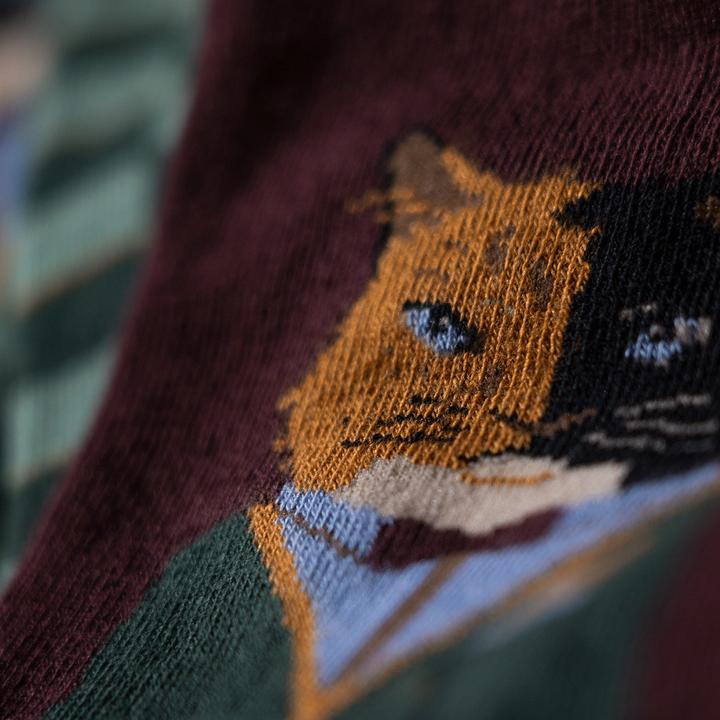 Actual product image Jimmy Lion Gentle Cat (41, 46)