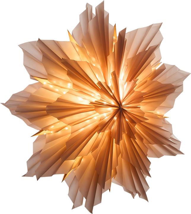 Beliani Osteran (1x)