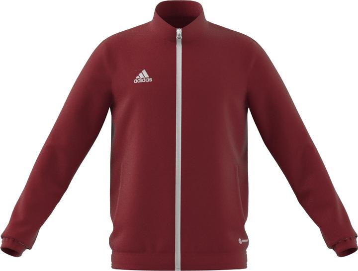 Produktbild adidas Entrada 22 Trainingsjacke Kinder (152)