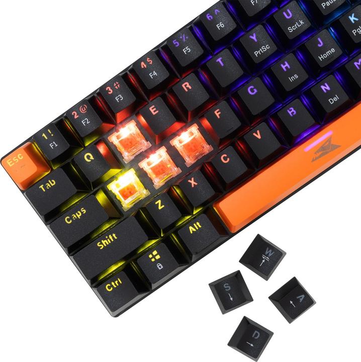 Actual product image Baracuda Computer keyboard BGK-03111 Dolphin Black US Mechanical Red Switches (US, Cable)