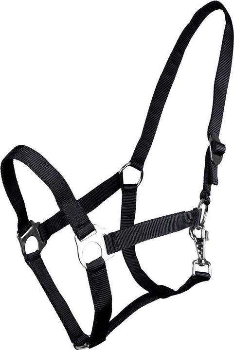 Qhp cavezza di nylon con fibbia scorrevole