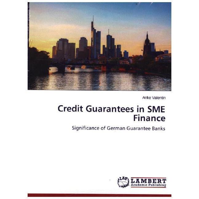 Credit Guarantees in SME Finance, Ratgeber