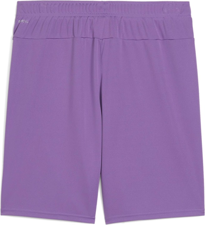 Image du produit Puma teamGOAL Short (S)