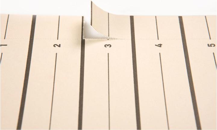 Actual product image Pagna Easy Rip DIN A4 kraft cardboard recycled chamois black 100 pcs/pack.