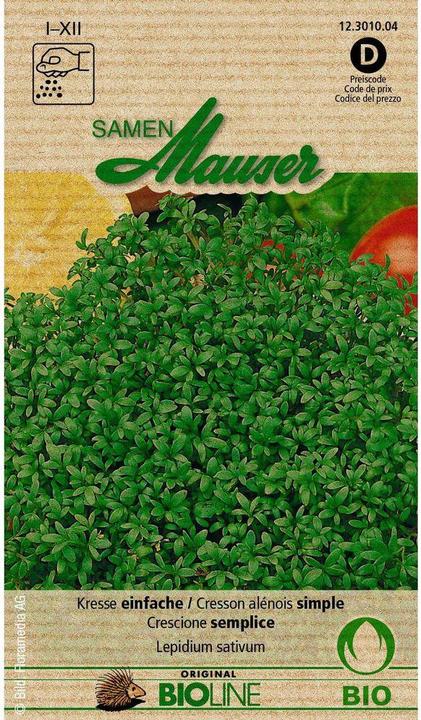 Image du produit Samen Mauser Bourgeon de cresson biologique (Graines d'herbes aromatiques)