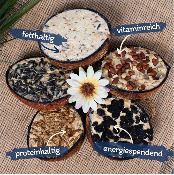 Immagine prodotto Lyra Pet Metà cocco ripieno (10 x, 0.30 kg)