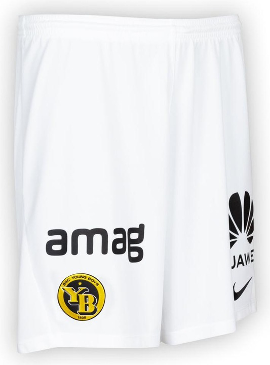 Actual product image Nike Park Iii Short (M)
