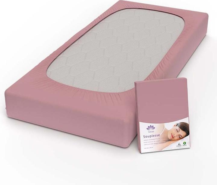 Immagine prodotto Lotus Bettwaren Lenzuolo matrimoniale in jersey Souplesse (90 x 190 cm, 100 x 200 cm, 90 x 200 cm)