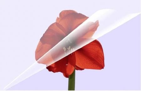 Productafbeelding Olympia Lamineerfolies (A6, 100 Stuk, 80 µm)