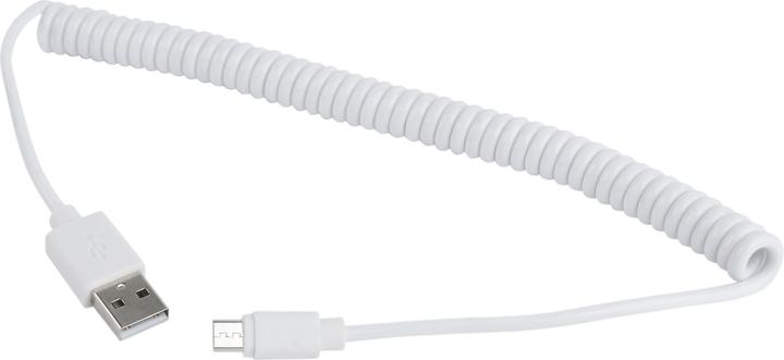 Image du produit Gembird Câble CC-mUSB2C-AMBM-6 de (USB 2.0 type AM (1.80 m, USB 2.0)