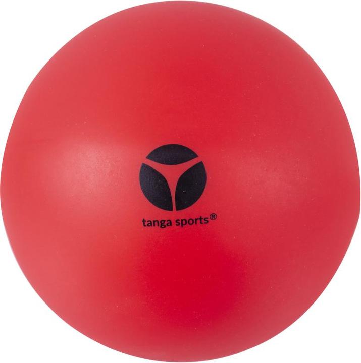 Image du produit Tanga Sports ® Gymnastikball Training