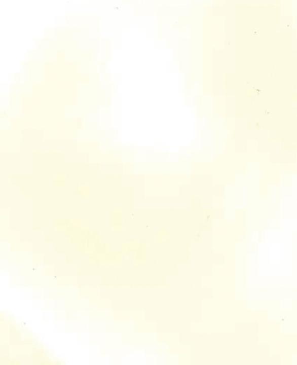 Actual product image Hobbyring Encaustic Wax Blocks Set of 16, pastel vanilla