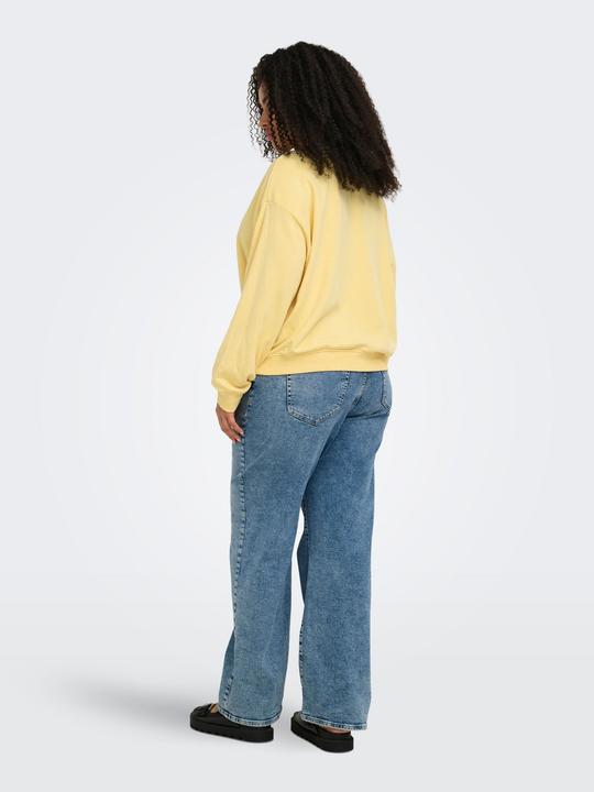 Image du produit Only CARSANDY Sweatshirt Sweatshirt (42, 44, S)