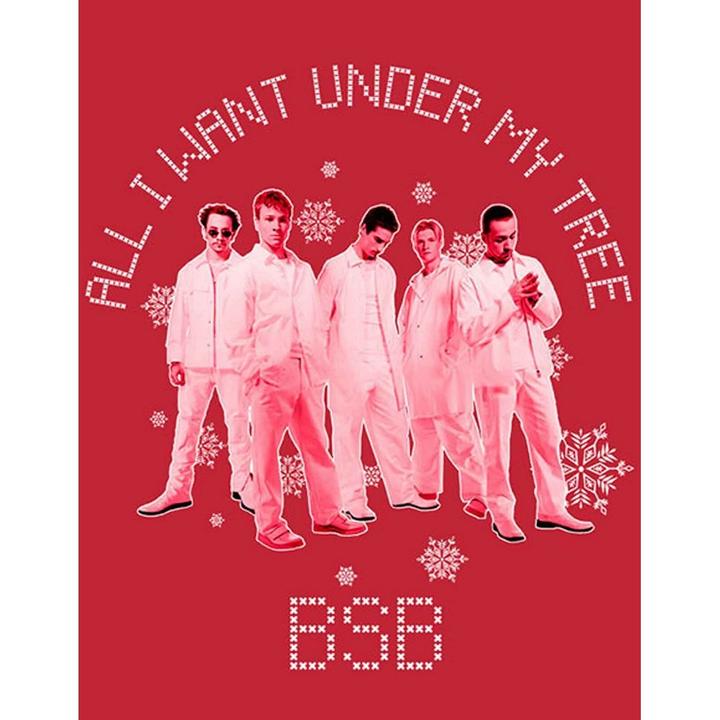 Immagine prodotto Backstreet Boys Maglietta unisex adulto All I Want Xmas in cotone (S)