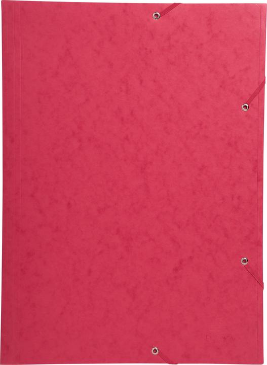 Actual product image Exacompta Folder (A3, 1 x)