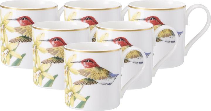 Produktbild Villeroy & Boch Amazonia (80 ml, 6x)