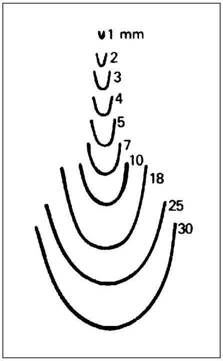 Immagine prodotto Scultura in ferro forma diritta (12 mm)